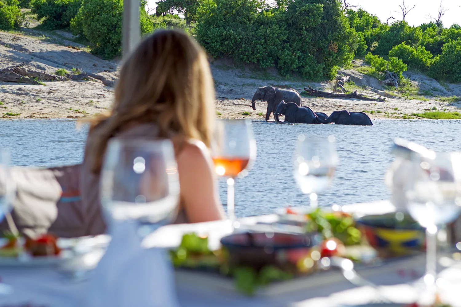 chobe safari botswana