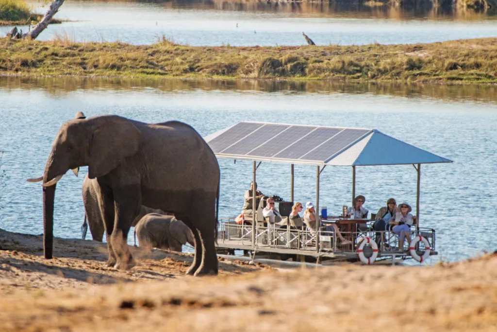 Sustainable Luxury Tourism at its Finest: Chobe Game Lodge