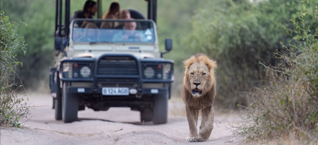 Celebrating 50 years in tourism in Botswana, Chobe Game Lodge Unveils New Website.