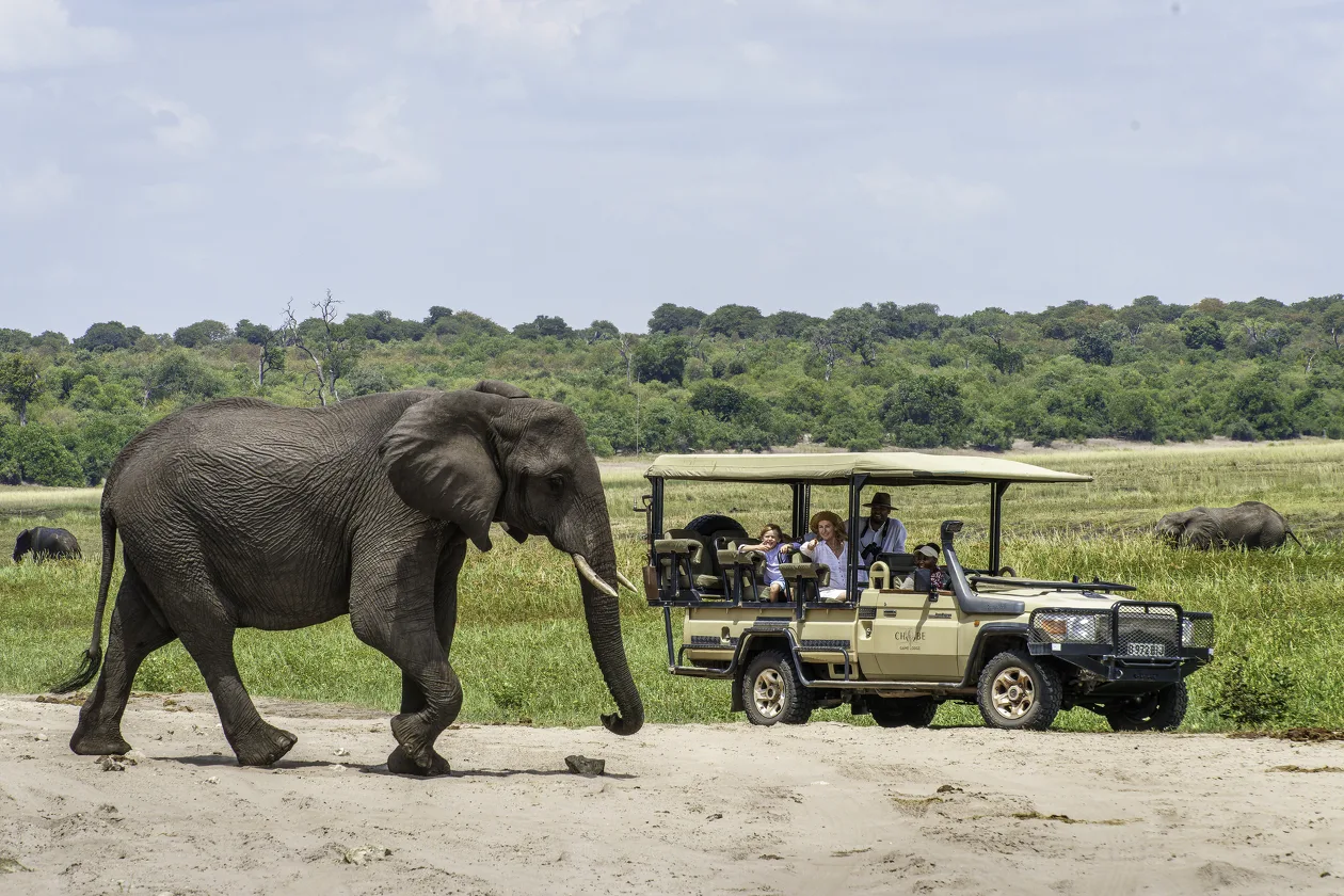 This is a Family Safari at Chobe Game Lodge